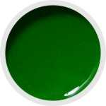 NAILFUN Polish-Gel UV-Color-Farbgel 5ml - Apple Green - Apfel Grün
