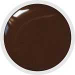 NAILFUN Polish-Gel UV-Color-Farbgel 5ml - Choco Brown - braun