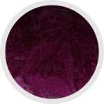NAILFUN Polish-Gel UV-Color-Farbgel 5ml - Metallic Red Purple - Rot Lila