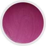 NAILFUN Polish-Gel UV-Color-Farbgel 5ml - Pearly Pink Roses - Effekt-Gel