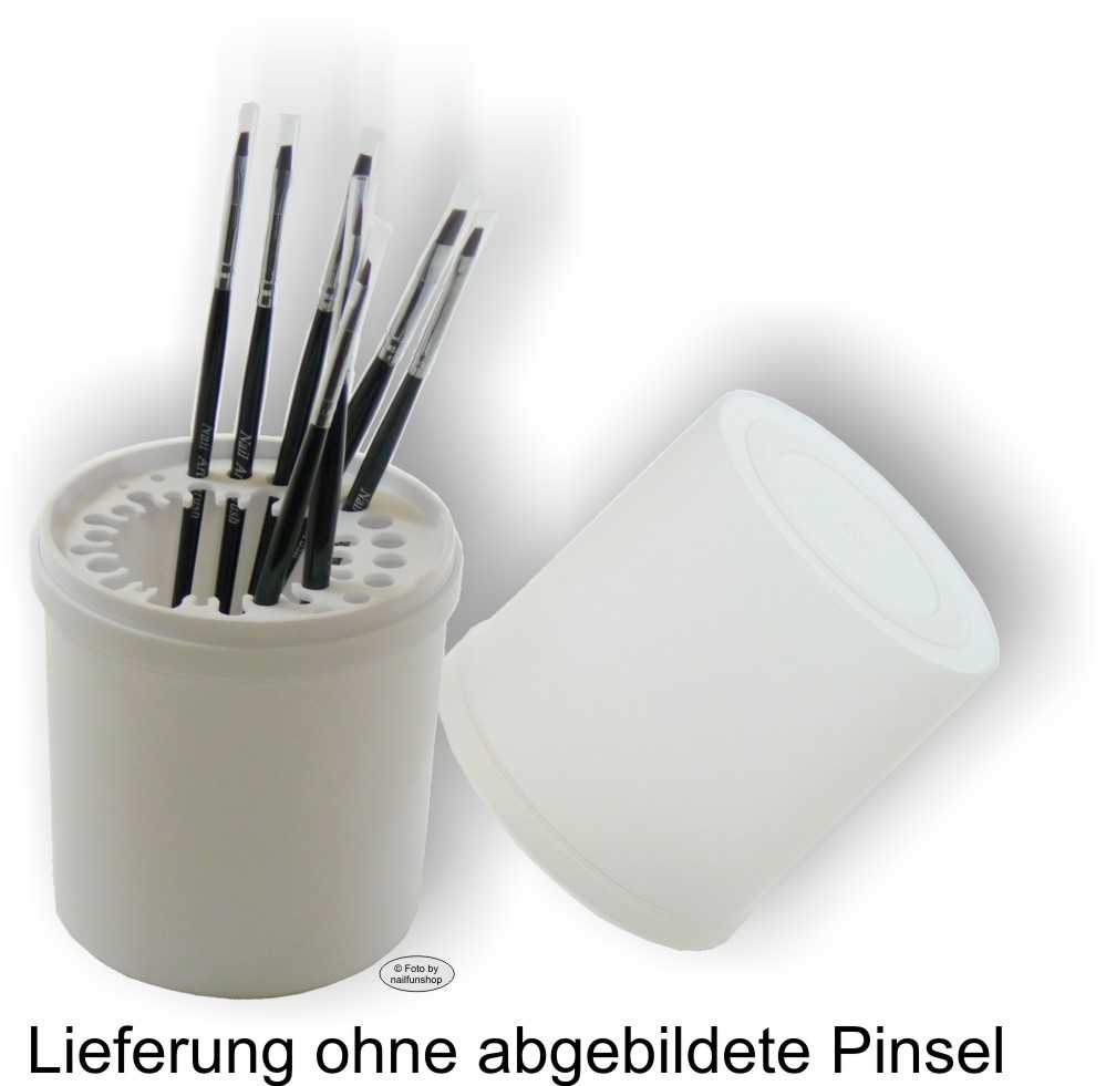 NAILFUN Pinselbox - Profi Aufbewahrungsbox, Inlet Pinselaufnahme, weiss/transparent