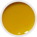 NAILFUN Polish-Gel UV-Color-Farbgel 5ml - Sunshine Yellow - Sonnengelb