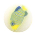 Nail & Fun Fimo Stange -Fischmotiv #2
