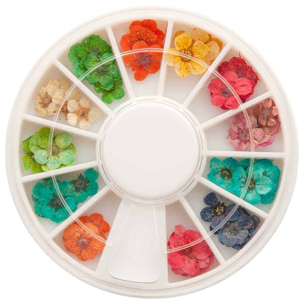 Nailart Trockenblumen - 1 Rondell mit ca. 40 Stück in 12 schönen Farben