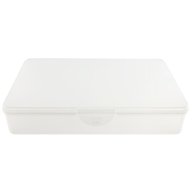 Feilenbox Arbeitsmaterial-Box Utilitybox L-Case transparent 233x157x42 mm LxBxH